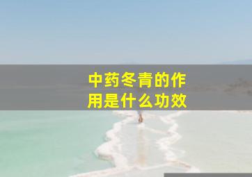 中药冬青的作用是什么功效