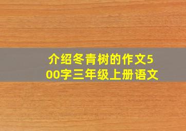 介绍冬青树的作文500字三年级上册语文