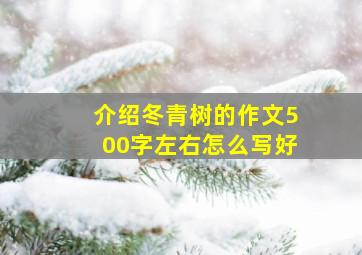 介绍冬青树的作文500字左右怎么写好