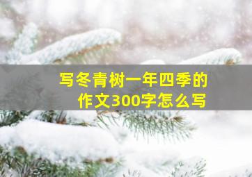 写冬青树一年四季的作文300字怎么写