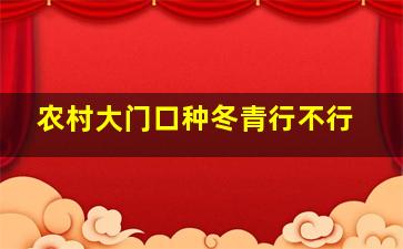 农村大门口种冬青行不行