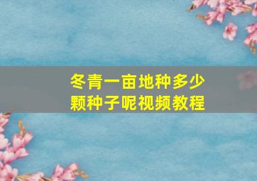 冬青一亩地种多少颗种子呢视频教程