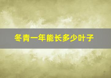 冬青一年能长多少叶子