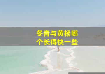 冬青与黄杨哪个长得快一些