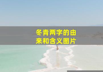 冬青两字的由来和含义图片