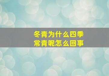 冬青为什么四季常青呢怎么回事