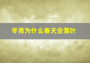 冬青为什么春天会落叶