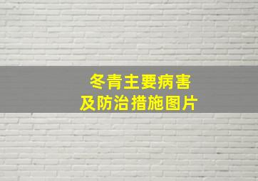 冬青主要病害及防治措施图片