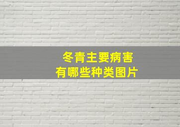 冬青主要病害有哪些种类图片