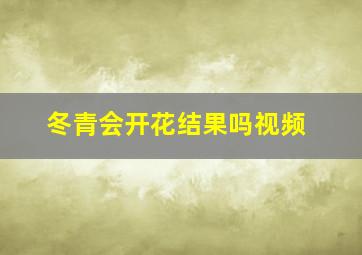 冬青会开花结果吗视频