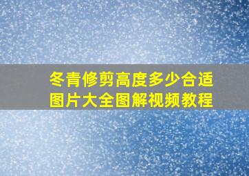 冬青修剪高度多少合适图片大全图解视频教程