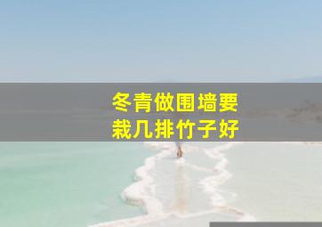 冬青做围墙要栽几排竹子好