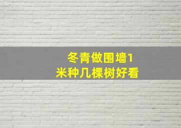 冬青做围墙1米种几棵树好看