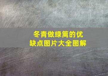 冬青做绿篱的优缺点图片大全图解