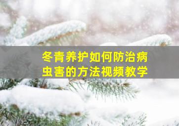 冬青养护如何防治病虫害的方法视频教学