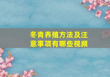 冬青养殖方法及注意事项有哪些视频