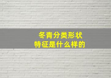 冬青分类形状特征是什么样的