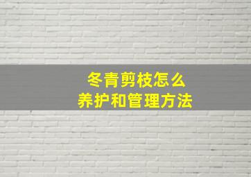 冬青剪枝怎么养护和管理方法