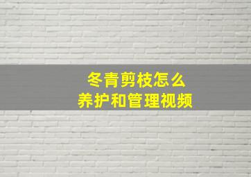 冬青剪枝怎么养护和管理视频