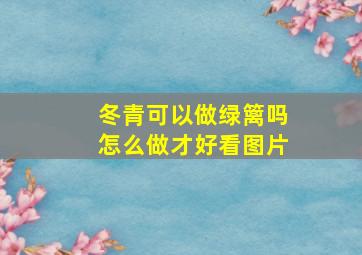 冬青可以做绿篱吗怎么做才好看图片