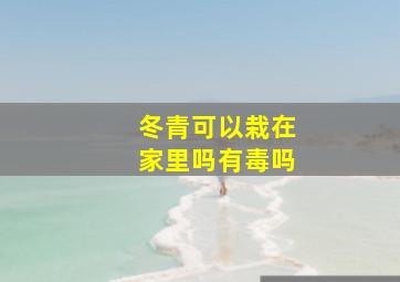 冬青可以栽在家里吗有毒吗