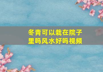 冬青可以栽在院子里吗风水好吗视频