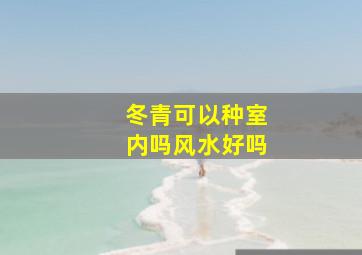 冬青可以种室内吗风水好吗