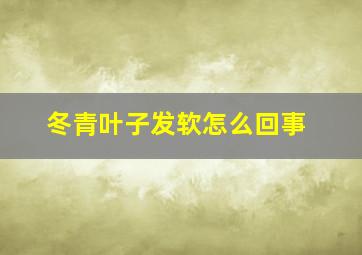 冬青叶子发软怎么回事