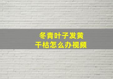 冬青叶子发黄干枯怎么办视频