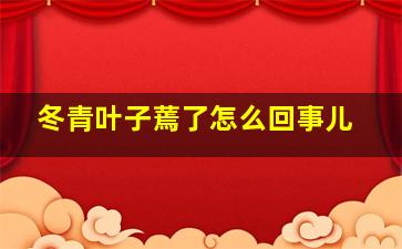 冬青叶子蔫了怎么回事儿