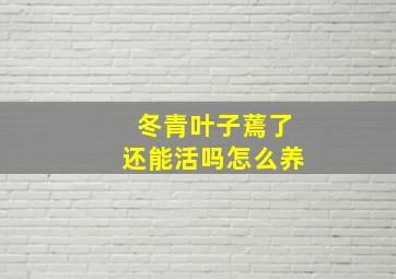 冬青叶子蔫了还能活吗怎么养