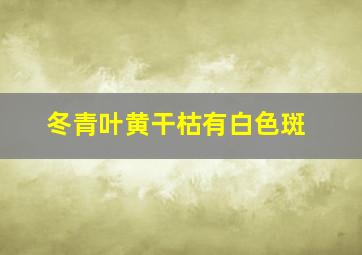 冬青叶黄干枯有白色斑