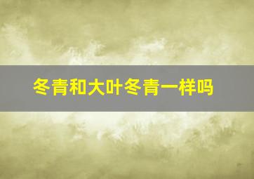 冬青和大叶冬青一样吗