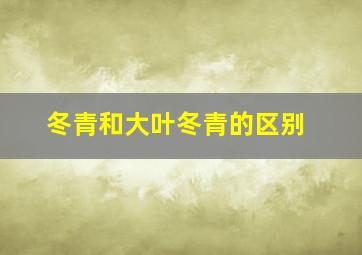 冬青和大叶冬青的区别