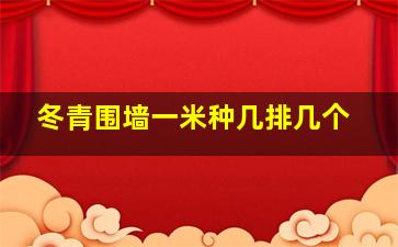 冬青围墙一米种几排几个