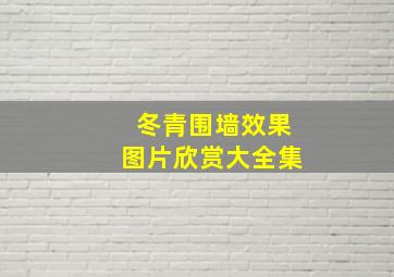 冬青围墙效果图片欣赏大全集