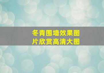 冬青围墙效果图片欣赏高清大图