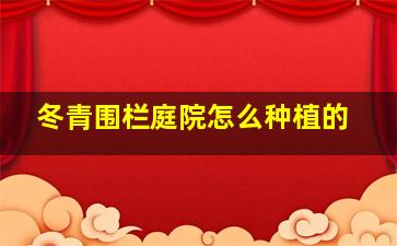 冬青围栏庭院怎么种植的