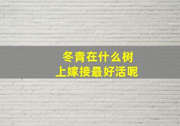 冬青在什么树上嫁接最好活呢