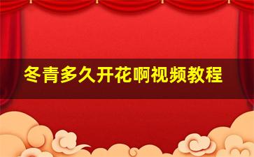 冬青多久开花啊视频教程