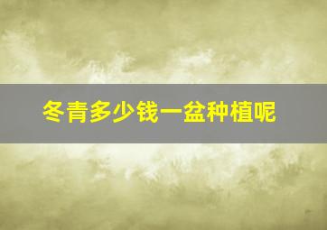 冬青多少钱一盆种植呢