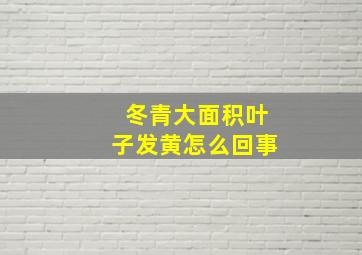 冬青大面积叶子发黄怎么回事