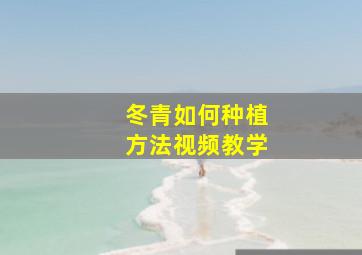 冬青如何种植方法视频教学