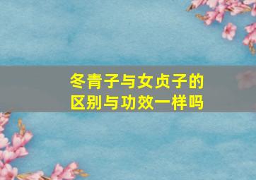 冬青子与女贞子的区别与功效一样吗