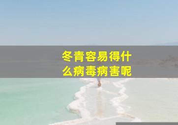 冬青容易得什么病毒病害呢