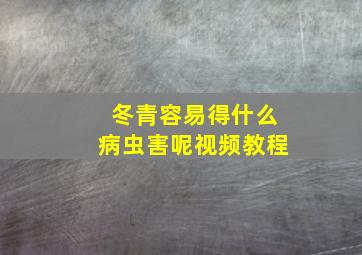 冬青容易得什么病虫害呢视频教程