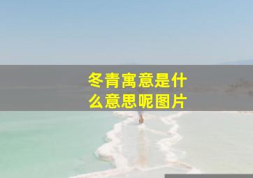 冬青寓意是什么意思呢图片