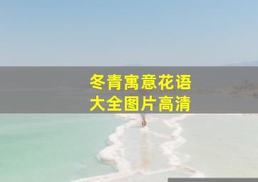 冬青寓意花语大全图片高清