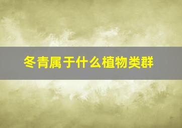 冬青属于什么植物类群