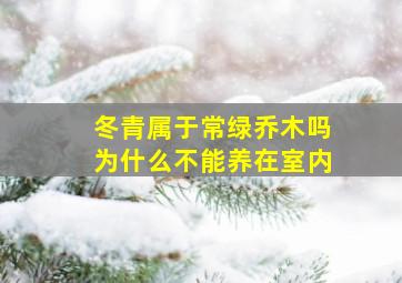 冬青属于常绿乔木吗为什么不能养在室内